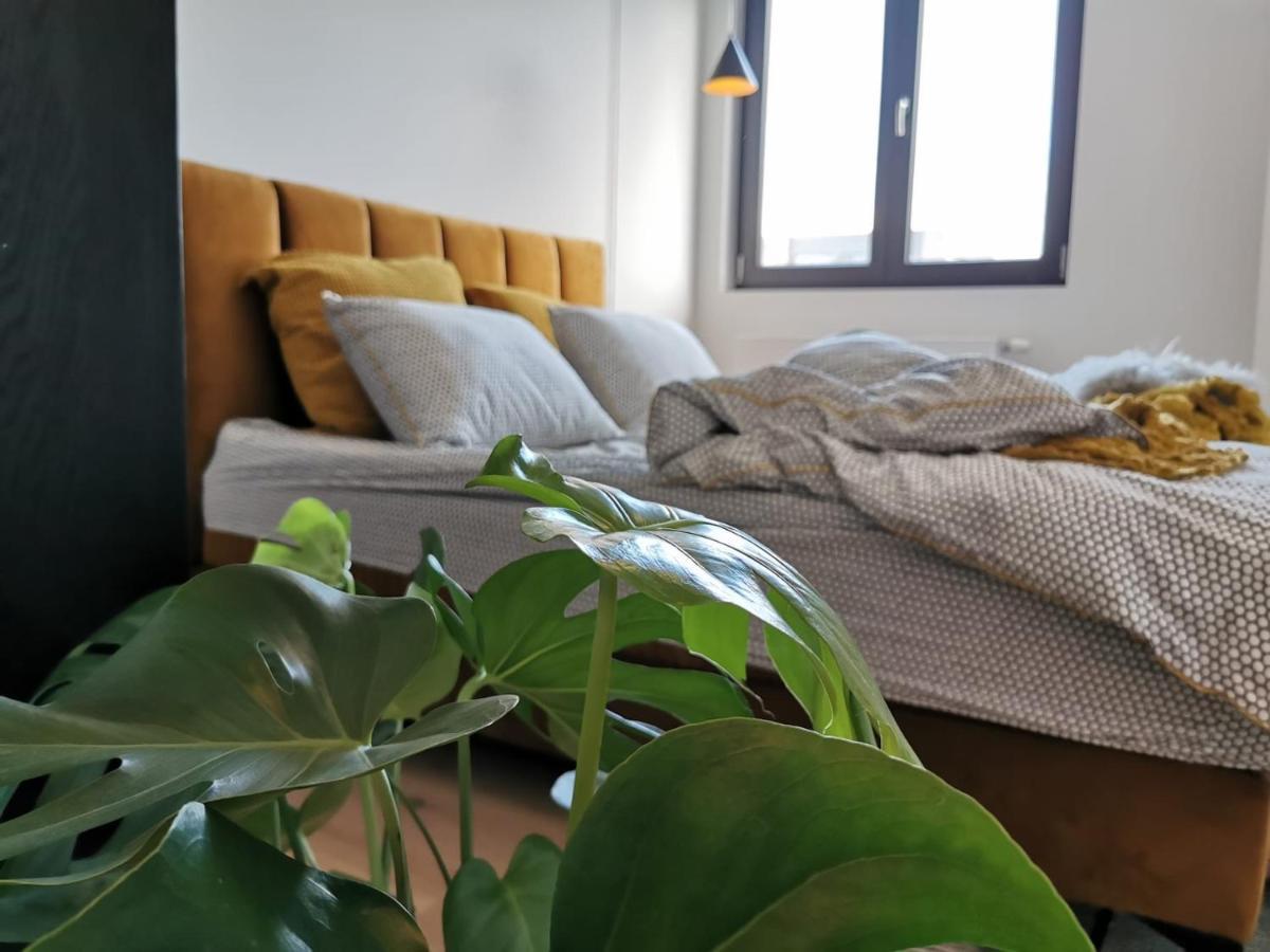 안트베르펜 The Penthouse, Oasis Of Light And Inspiration 아파트 외부 사진